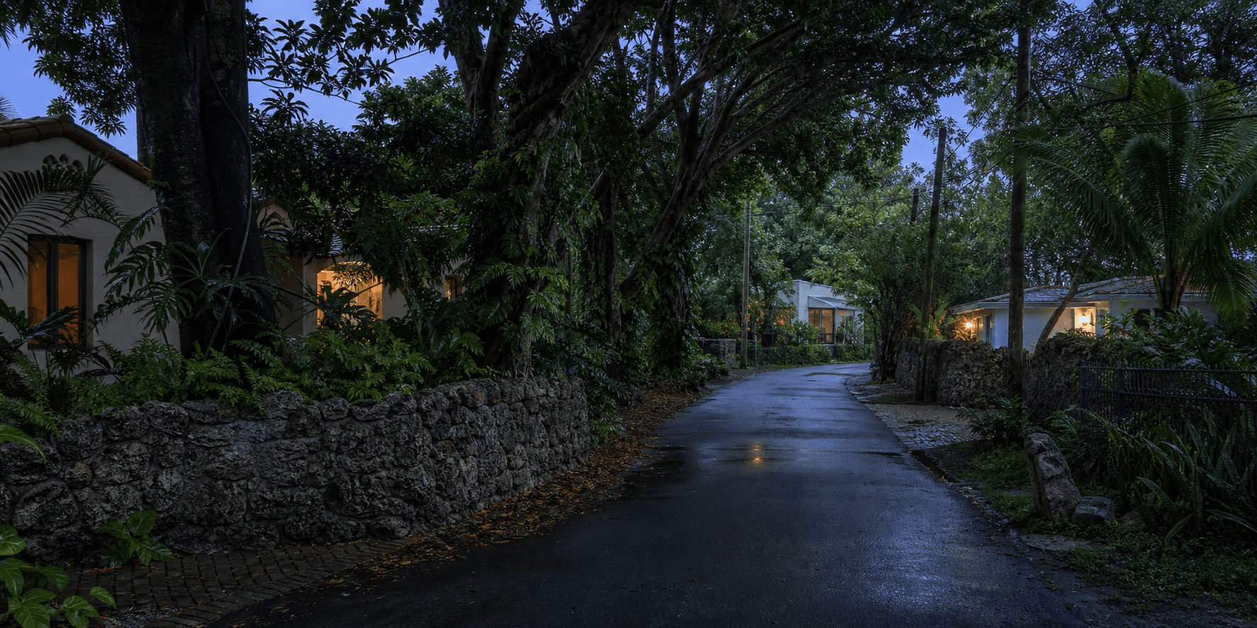 Illustrative narrow Coconut Grove street with coral rock walls, cottages and dense canopy after rain