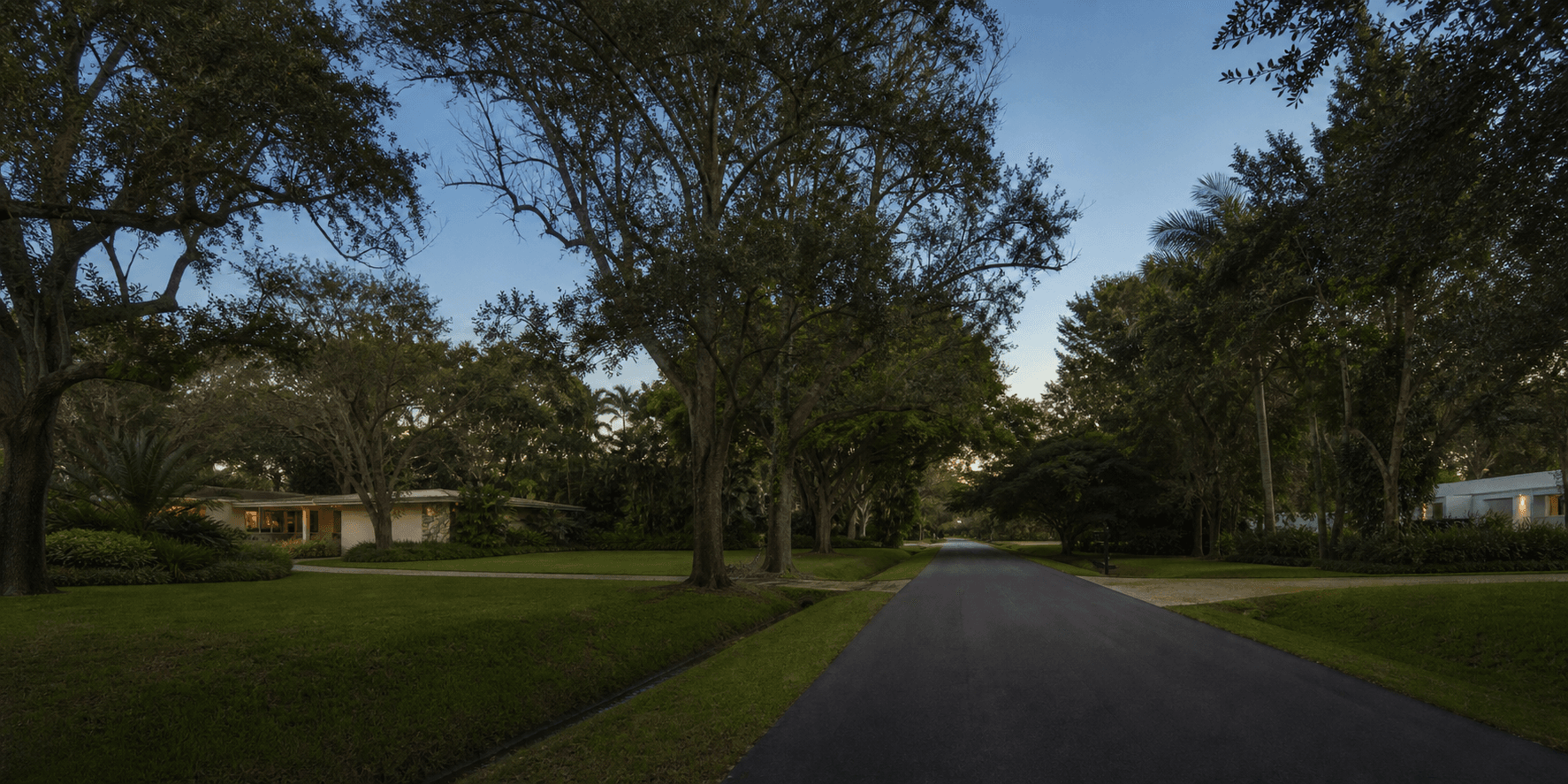 Illustrative Pinecrest road with drainage swales, deep setbacks and mature canopy at dusk